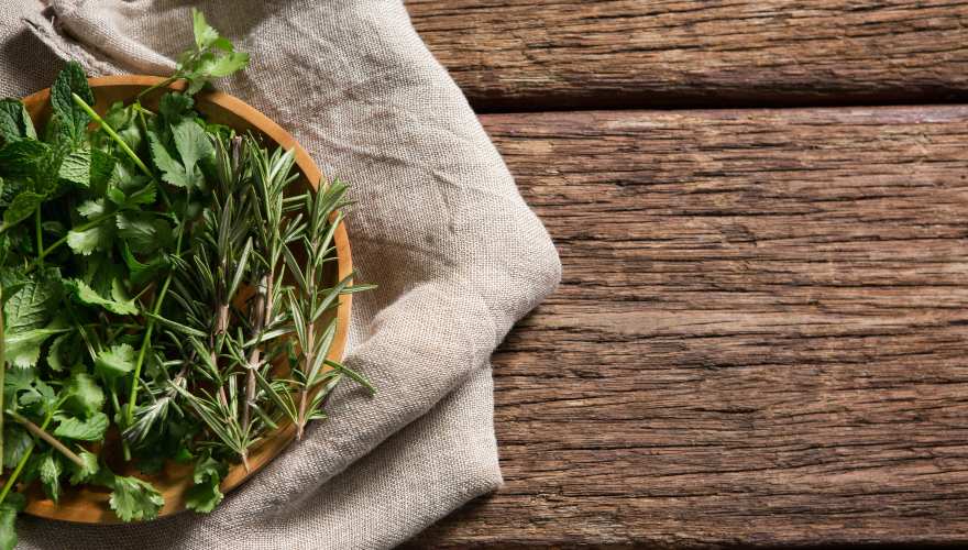5 hierbas medicinales que no deben faltar en tu casa